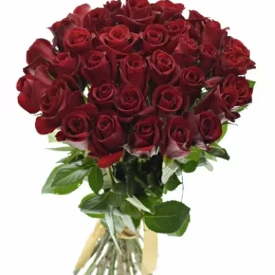 Kytice 35 rudých růží THUNDER 60cm