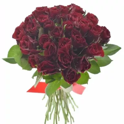 Kytice 35 růží červených TORERO 30cm