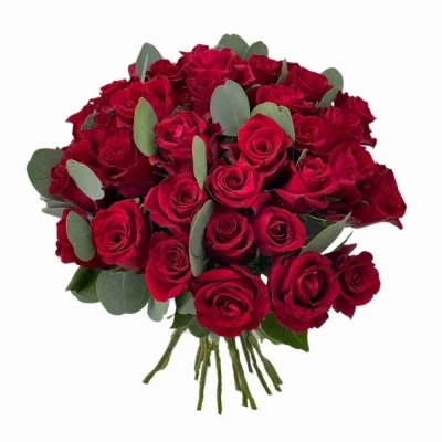 Kytice 35 růží EVER RED 60 cm   EUCALYPTUS