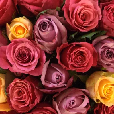 Kytice 35 růží míchaná LAIS 60cm