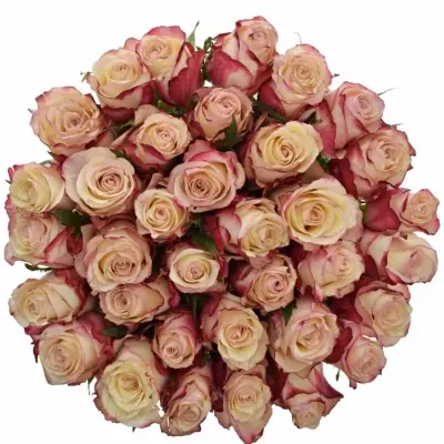 Kytice 35 bílorůžových růží ADVANCE SWEETNESS 60cm