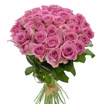 Kytice 35 růžových růží AQUA 40cm