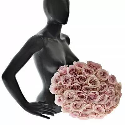 Kytice 35 růžových růží AVALANCHE PINK+ 60cm