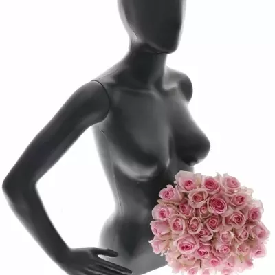 Kytice 35 růžových růží AVALANCHE SORBET+