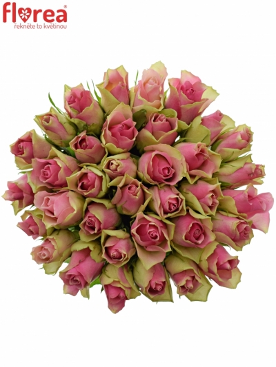 Kytice 35 růžových růží BELLEVUE 40cm