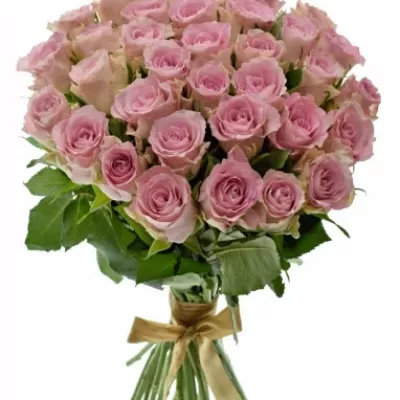 Kytice 35 růžových růží BISOU 50cm 