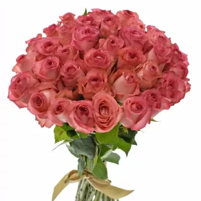 Kytice 35 růžových růží BRENDT 50cm