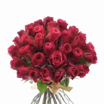 Kytice 35 růžových růží CHERRY O!