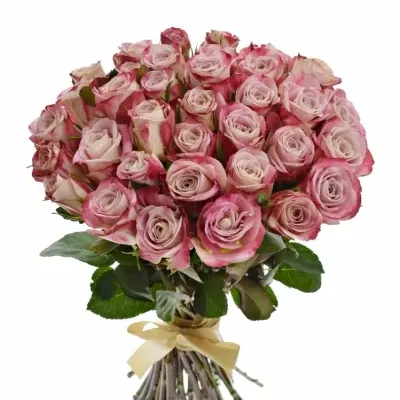 Kytice 35 růžových růží CLASSY ALISON