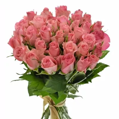 Kytice 35 růžových růží DEKORA 50cm