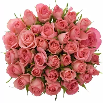 Kytice 35 růžových růží DEKORA 40cm