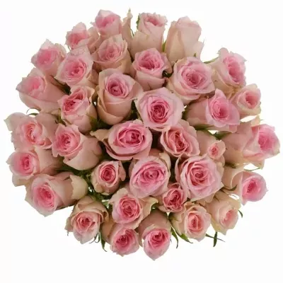 Kytice 35 růžových růží FLAMINGO