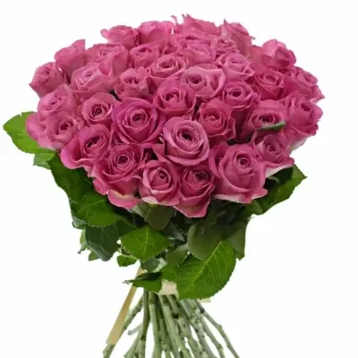 Kytice 35 růžových růží H3O 40cm