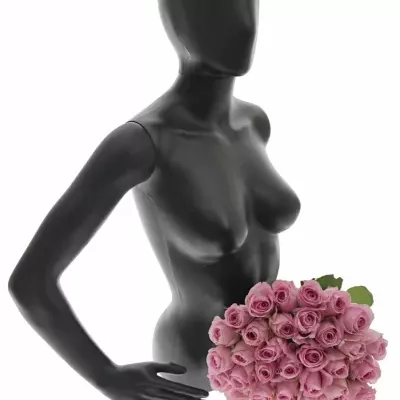 Kytice 35 růžových růží HEIDI!