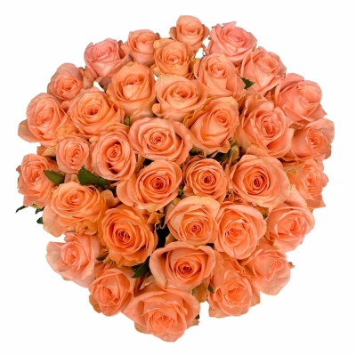 Jednodruhová kytice 35 růžových růží KISS 2U 50 cm