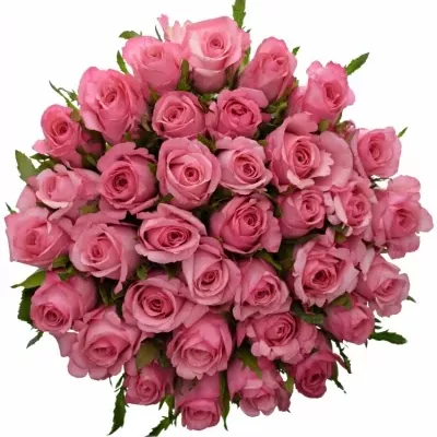 Kytice 35 růžových růží LOVELY JUBILEE 90cm