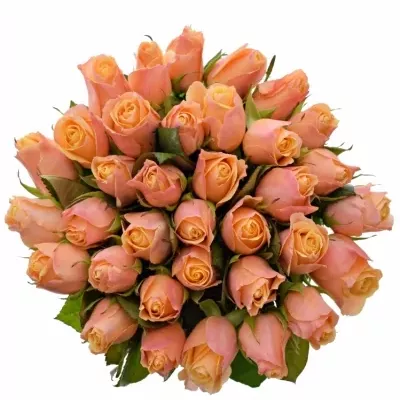 Kytice 35 růžových růží LOWLANDS 50cm