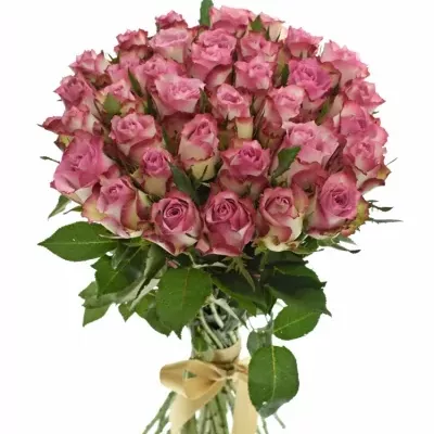 Kytice 35 růžových růží MELINA 40cm 