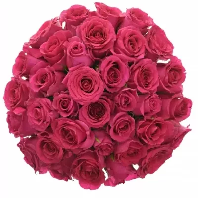 Kytice 35 růžových růží MEMORY