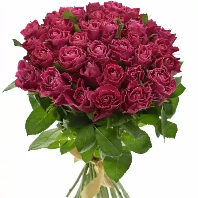 Kytice 35 růžových růží MOVIE STAR 40cm