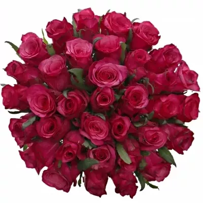 Kytice 35 růžových růží NATURES WILD 35cm