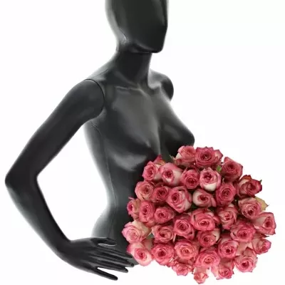 Kytice 35 růžových růží NAVARRA 40cm