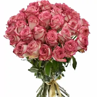 Kytice 35 růžových růží NAVARRA 40cm