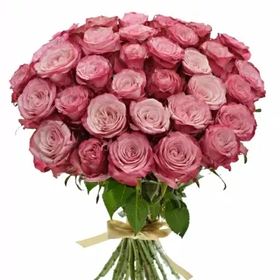 Kytice 35 růžových růží NO LIMIT 50cm