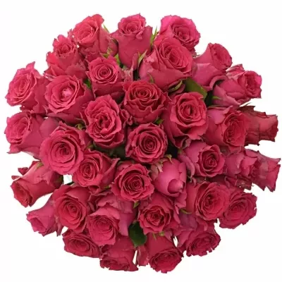 Kytice 35 růžových růží Pink Rhodos 60cm