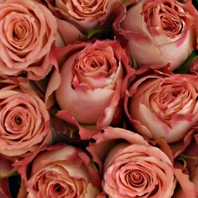 Kytice 35 růžových růží PINK SILK 40cm