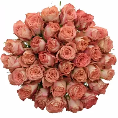 Kytice 35 růžových růží PINK SILK 40cm