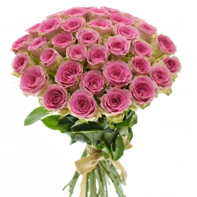 Kytice 35 růžových růží TIMES SQUARE