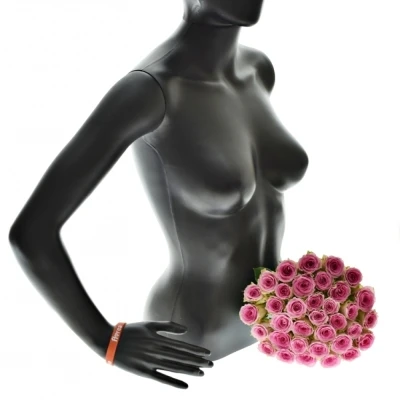 Kytice 35 růžových růží TIMES SQUARE