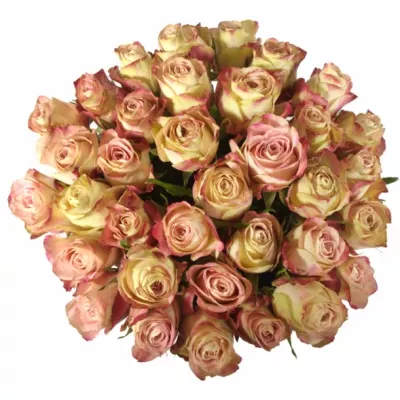 Kytice 35 růžových růží UPPER SECRET 60cm