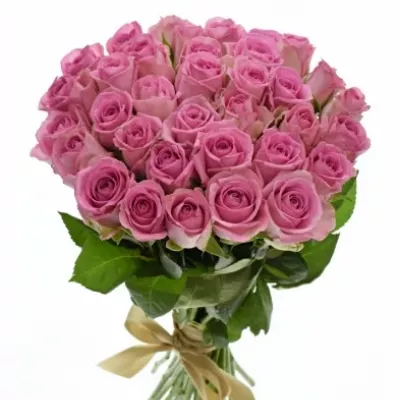 Kytice 35 růžových růží VIDEO 40cm
