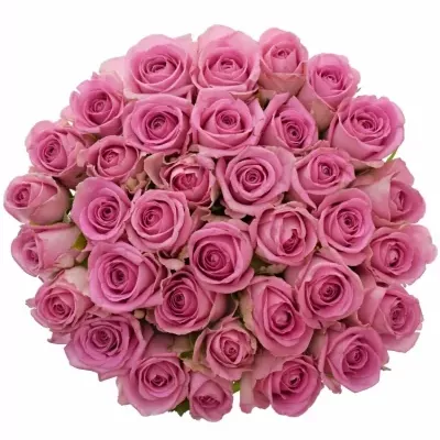 Kytice 35 růžových růží VIDEO 50cm