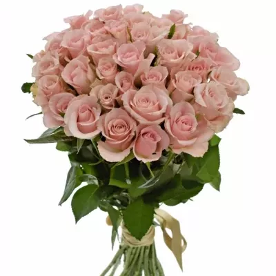 Kytice 35 růžových růží YVONNE 50 cm