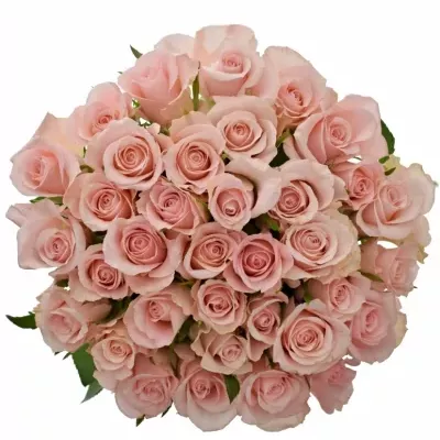 Kytice 35 růžových růží YVONNE 50 cm