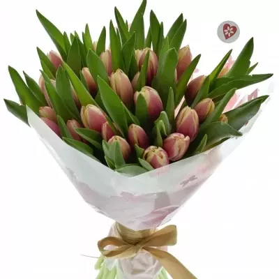 Kytice 35 růžových tulipánů LIFESTYLE 40cm