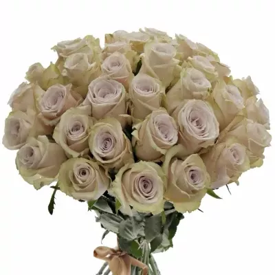 Kytice 35 světle fialových růží SILVERY FLAME 35cm