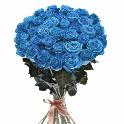 Kytice 35 světle modrých růží LIGHT BLUE VENDELA