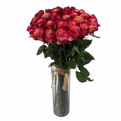 Kytice 35 vícebarevných růží MAI TAI