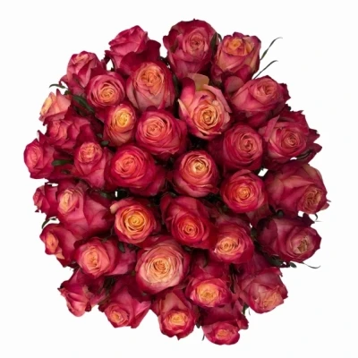 Kytice 35 vícebarevných růží MAI TAI