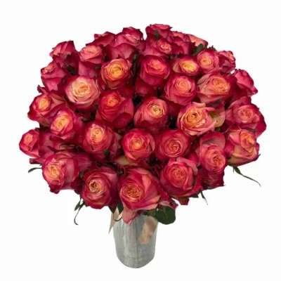 Kytice 35 vícebarevných růží MAI TAI