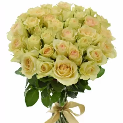 Kytice 35 zelených růží KIWI@ 40cm