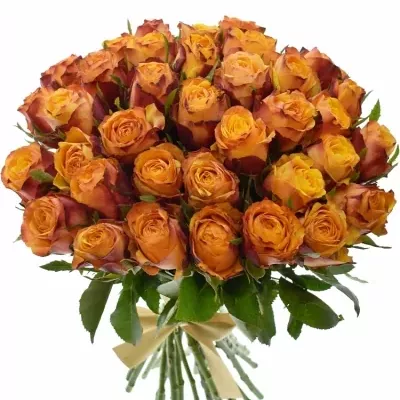 Kytice 35 žíhaných růží GRANADA 40cm