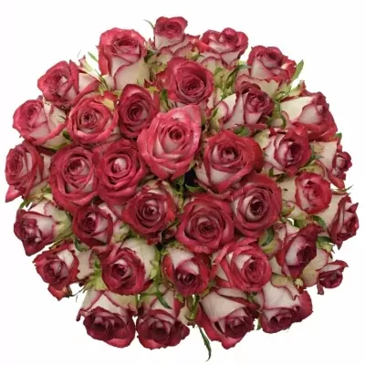 Kytice 35 žíhaných růží PARADISO 40cm