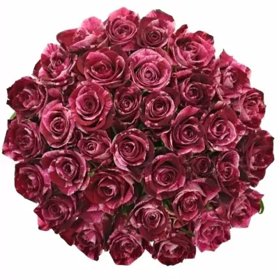 Kytice 35 žíhaných růží RED STORM