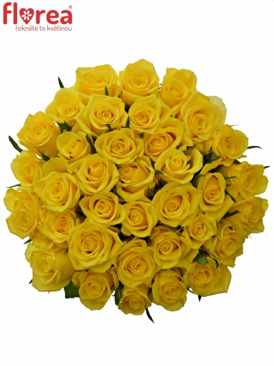 Kytice 35 žlutých růží GOOD TIMES 50cm