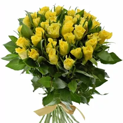 Kytice 35 žlutých růží SUNNY SHER 40cm